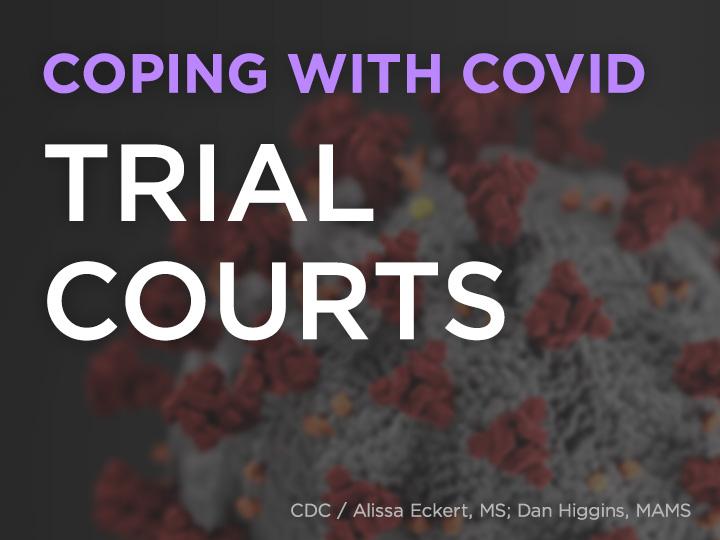 Trial courts title slide